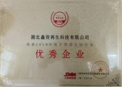 2019中國再生鉛行業優秀企業